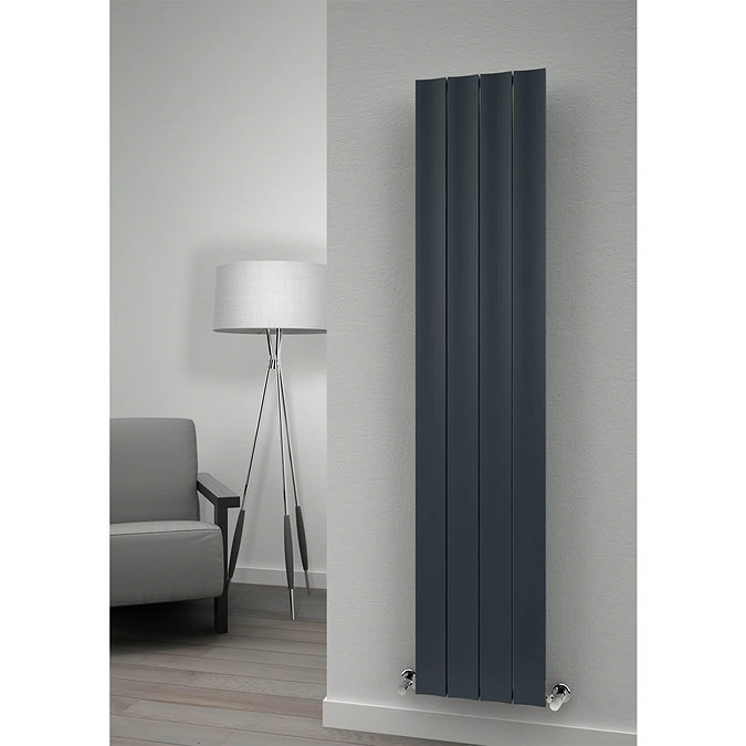 Reina Luca Vertical Double Panel Aluminium Radiator - Anthracite Profile Large Image