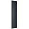 Reina Luca Vertical Double Panel Aluminium Radiator - Anthracite Large Image