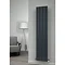 Reina Luca Vertical Double Panel Aluminium Radiator - White Profile Large Image