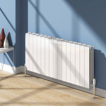 Reina Miray Horizontal Aluminium Radiator - White  Profile Large Image