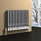 Reina Nerox Horizontal Double Panel Stainless Steel Radiator - Polished Large Image