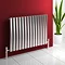 Reina Nerox Horizontal Single Panel Stainless Steel Radiator - Satin Large Image