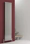 Reina Nerox Vertical Double Panel Stainless Steel Radiator - Polished Large Image