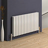 Reina Neva Horizontal Double Panel Designer Radiator - White Profile Large Image