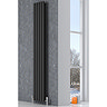 Reina Neva Vertical Double Panel Designer Radiator - Anthracite Profile Large Image