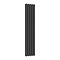 Reina Neva Vertical Double Panel Designer Radiator - Anthracite