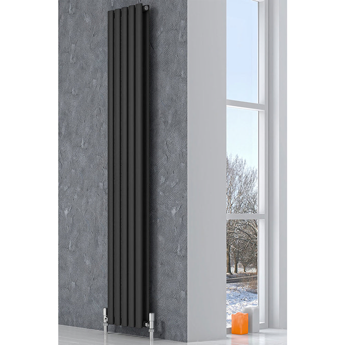 Reina Neva Vertical Double Panel Designer Radiator - Black Profile Large Image