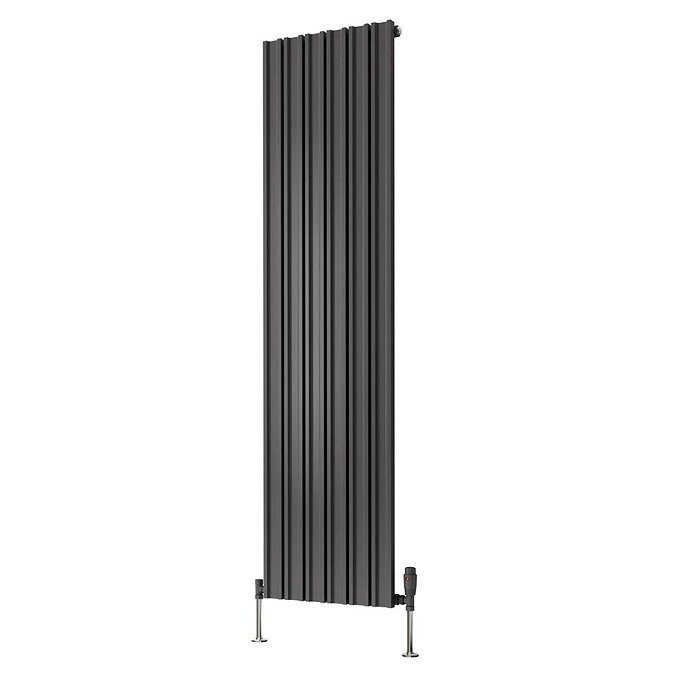 Reina Raile Vertical Steel Designer Radiator - Anthracite  Feature Large Image