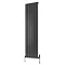 Reina Raile Vertical Steel Designer Radiator - Anthracite  Feature Large Image