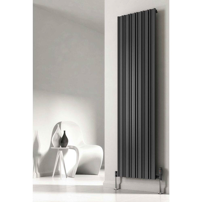 Reina Raile Vertical Steel Designer Radiator - Anthracite Large Image