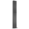 Reina Round Double Panel Steel Designer Radiator - Black Large Image