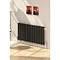 Reina Sena Horizontal Steel Designer Radiator - Black Profile Large Image