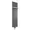 Reina Slimline Vertical Steel Designer Radiator - Anthracite Large Image