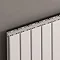 Reina Stadia Horizontal Double Panel Aluminium Radiator - Anthracite Profile Large Image