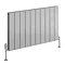 Reina Stadia Horizontal Double Panel Aluminium Radiator - Polished Large Image