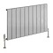 Reina Stadia Horizontal Single Panel Aluminium Radiator - Polished Large Image