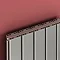 Reina Stadia Vertical Double Panel Aluminium Radiator - Anthracite  Profile Large Image