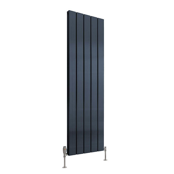 Reina Stadia Vertical Double Panel Aluminium Radiator - Anthracite Large Image