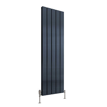 Reina Stadia Vertical Double Panel Aluminium Radiator - Anthracite  Profile Large Image