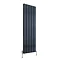 Reina Stadia Vertical Double Panel Aluminium Radiator - Anthracite Large Image