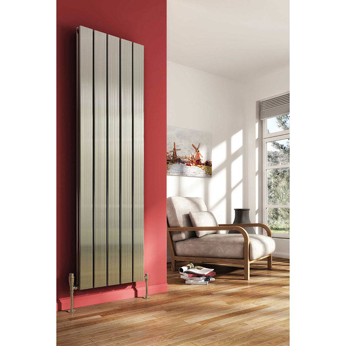 Reina Stadia Vertical Double Panel Aluminium Radiator - Polished Large Image