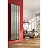 Reina Stadia Vertical Double Panel Aluminium Radiator - Polished Large Image
