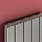 Reina Stadia Vertical Double Panel Aluminium Radiator - White  Profile Large Image