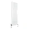 Reina Stadia Vertical Double Panel Aluminium Radiator - White Large Image