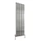 Reina Stadia Vertical Single Panel Aluminium Radiator - Polished Large Image