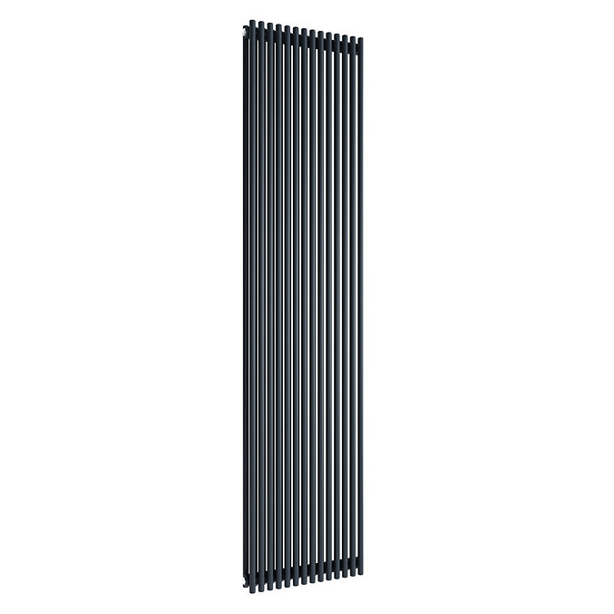 Reina Tubes Double Panel Steel Designer Radiator - 1800 x 350mm - Black Large Image