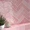 Retford Pink Gloss Wall Tiles - 75 x 230mm Large Image