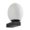 Revive Black LED Bathroom Wall Light with Opal Glass Shade  Profile Large Image