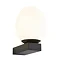 Revive Black LED Bathroom Wall Light with Opal Glass Shade Large Image