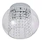 Revive Chrome/Clear Glass 2-Light Cloche Ceiling Light  Profile Large Image