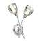 Revive Chrome/Smoked Glass 2-Light Wall Light Large Image