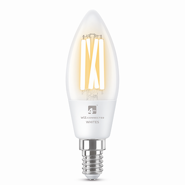 bulb