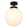 Revive Matt Black 1 Light Semi-Flush Bathroom Ceiling Light Large Image