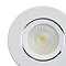 Revive Matt White IP65 LED Fire-Rated Tiltable Downlight  Feature Large Image