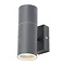 Revive Outdoor Anthracite Grey Up & Down Wall Light Large Image