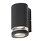 Revive Outdoor Black Single Downlight Large Image