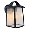 Revive Outdoor Matt Black Wall Light with Seeded Glass Diffuser Large Image