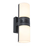 Revive Outdoor PIR Rotatable Tubular Dark Grey Wall Light Large Image