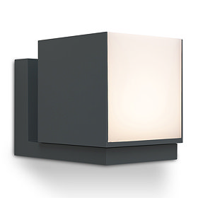 Revive Outdoor Rotatable Dark Grey Wall Light Large Image