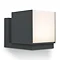 Revive Outdoor Rotatable Dark Grey Wall Light Large Image