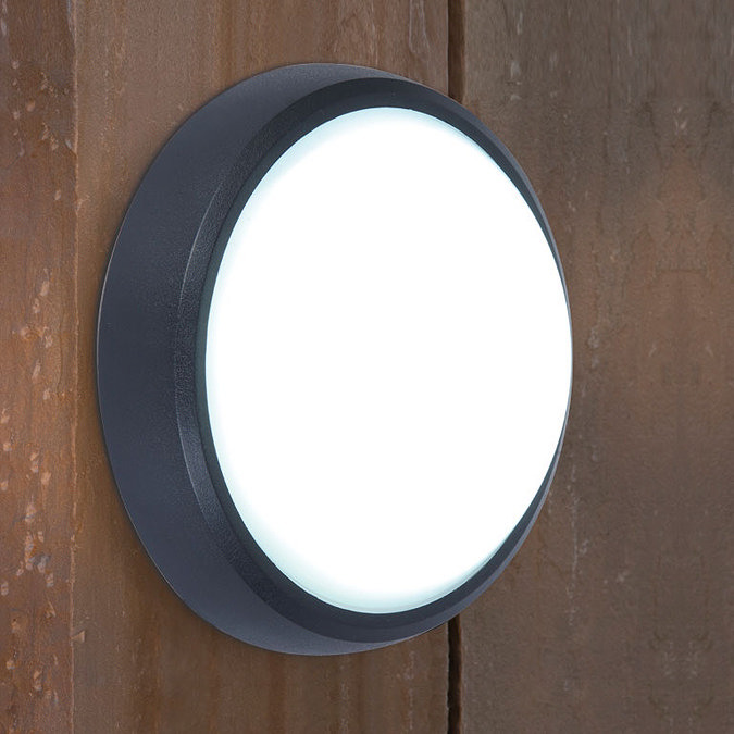 Revive Outdoor Round Black LED Wall & Ceiling Light Large Image