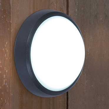 Revive Outdoor Round Black LED Wall & Ceiling Light  Profile Large Image