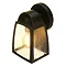 Revive Outdoor Small Matt Black Wall Light with Seeded Glass Diffuser  Standard Large Image