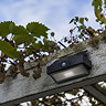 Revive Outdoor Solar PIR Wall Light (W176 x L74 x H109mm)  Profile Large Image