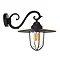 Revive Outdoor Traditional Black Coach Lantern  Standard Large Image