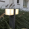 Revive Outdoor Twin Rotatable Dark Grey Bollard Light  In Bathroom Large Image